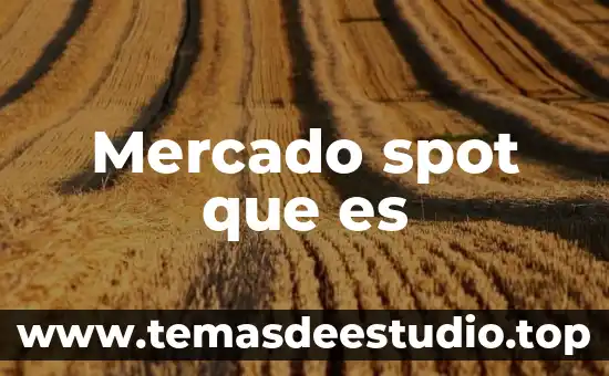 Que es escasez existente en un mercado 5 Mercado spot que es