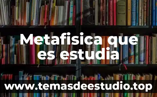 Que es la etica en metafisica 4 Metafisica que es estudia