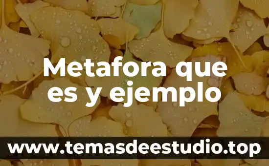 Que es lenguaje metáfora 5 Metafora que es y ejemplo