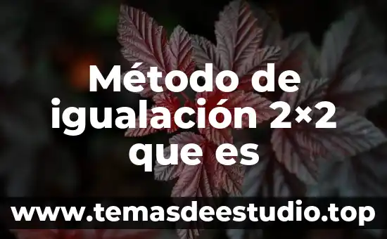 Método de igualación 2×2 que es