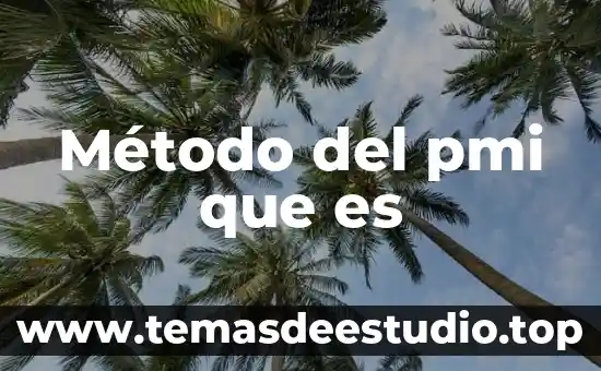 Que es un metodo de cuantificacion directo e inderecto 4 Método del pmi que es