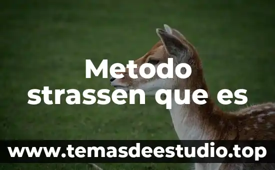 Metodo strassen que es