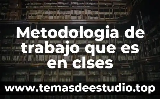 Metodologia de trabajo que es en clses