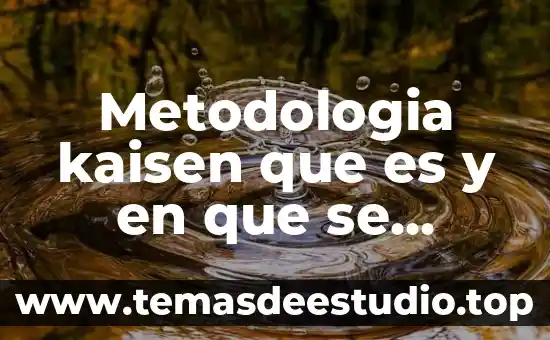 Metodologia kaisen que es y en que se aplica