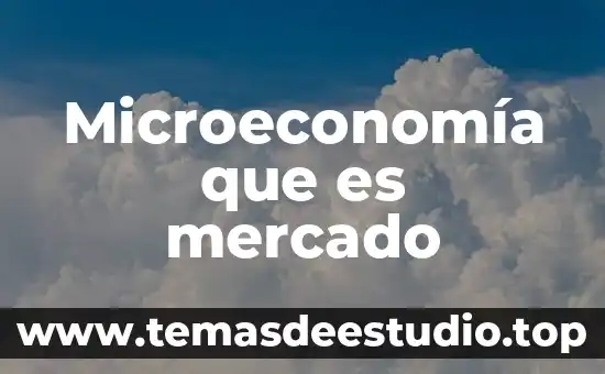 Microeconomía que es mercado