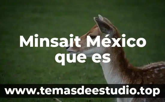 Que es patrimonio de la humanidad en mexico 7 Minsait México que es