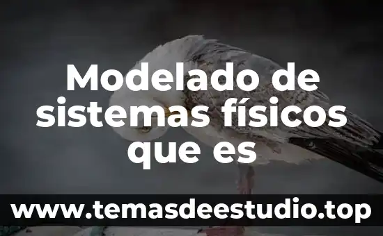 Qué es la simbología en los sistemas señaleticos 4 Modelado de sistemas físicos que es