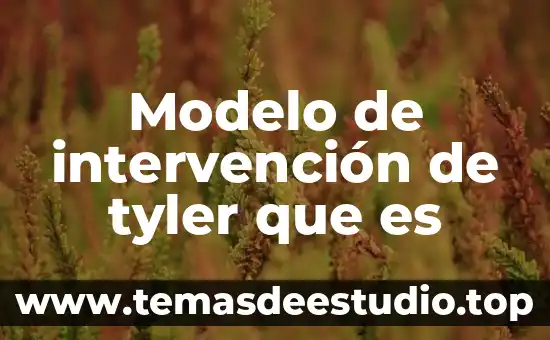 Que es un modelo de cálculo en arquitectura 6 Modelo de intervención de tyler que es