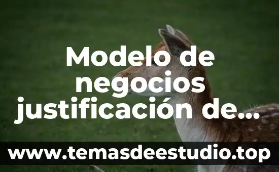 Que es la justificacion en un proyecto de tesis 4 Modelo de negocios justificación de por qué es bueno
