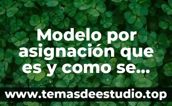 Que es un modelo educativo redalyc 3 Modelo por asignación que es y como se usa presentacion