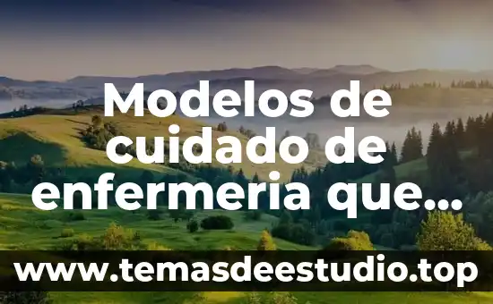 Que es hemoptisis en enfermeria 8 Modelos de cuidado de enfermeria que es