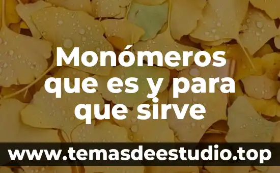 Para que es sirve una tesis 3 Monómeros que es y para que sirve