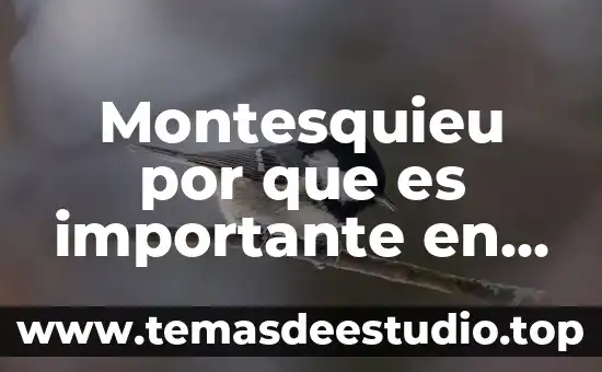 Montesquieu por que es importante en la historia de mexico