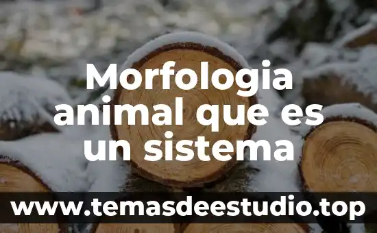 Que es cuervo animal 3 Morfologia animal que es un sistema