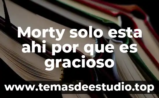 Por que es un solo dios 5 Morty solo esta ahi por que es gracioso
