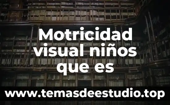 Qué es arte plástico o visual 6 Motricidad visual niños que es