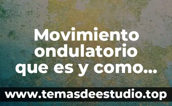 Qué es un movimiento de origen de flujo 3 Movimiento ondulatorio que es y como se aplica