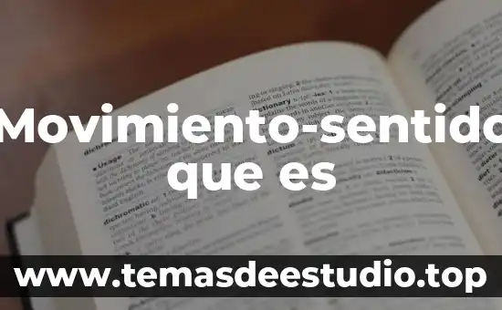 Movimiento-sentido que es