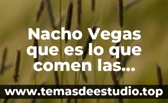 Qué es un ambientador de aire 8 Nacho Vegas que es lo que comen las brujas