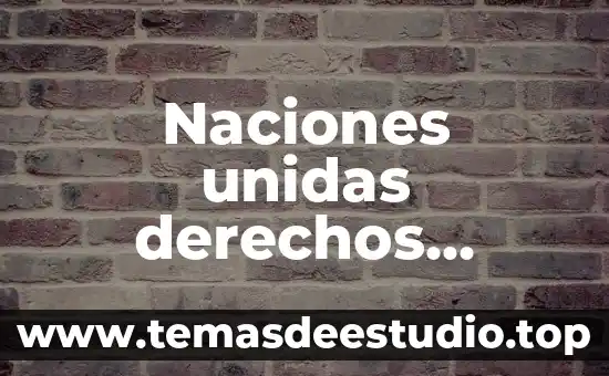 Naciones unidas derechos humanos que es