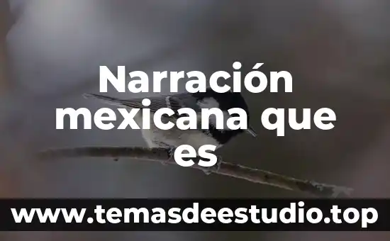 Qué es la antropología mexicana 4 Narración mexicana que es