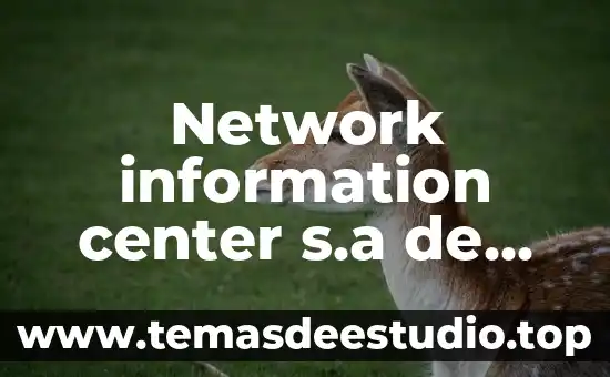 Network information center s.a de c.v que es