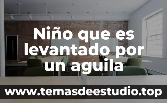 Niño que es levantado por un aguila