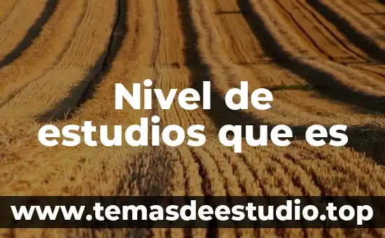 Nivel de estudios que es
