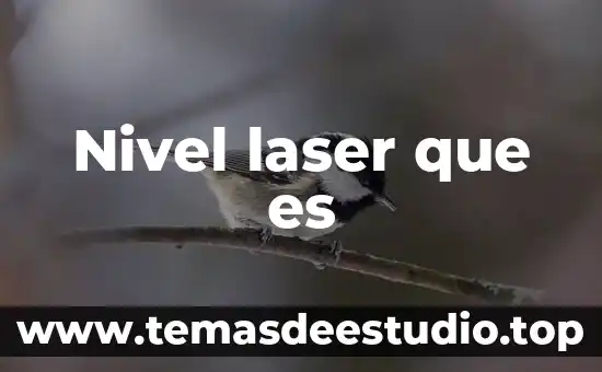 Qué es mejor CNC o corte láser 5 Nivel laser que es