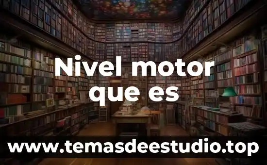 Que es el nivel de oracticas y creencia 5 Nivel motor que es