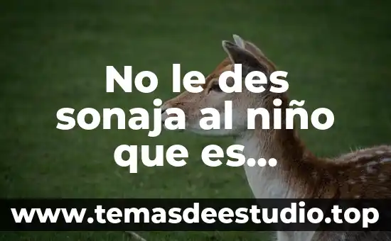 Qué es suministrada concepto 6 No le des sonaja al niño que es juguetón