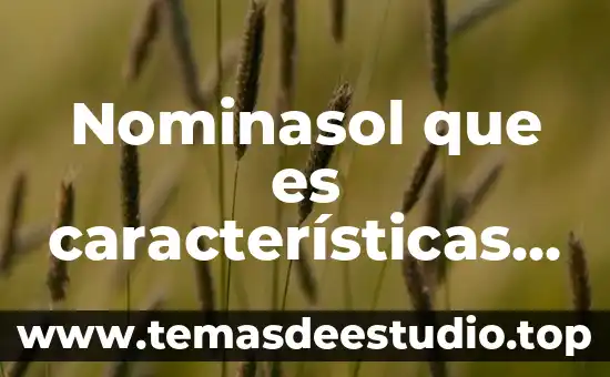 Nominasol que es características ventajas como se usa