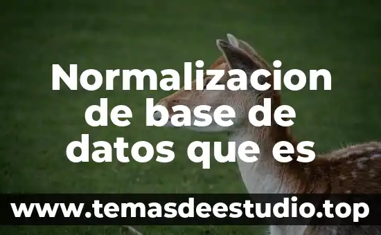 Objeto de normalización que es 6 Normalizacion de base de datos que es