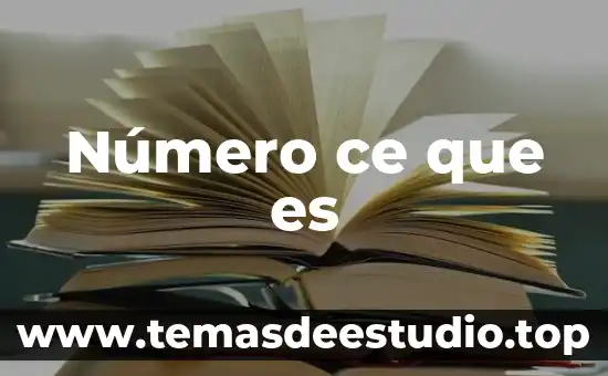 Qué es el número de la factura 3 Número ce que es