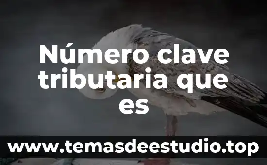 Qué es el número de registro de Avon 3 Número clave tributaria que es
