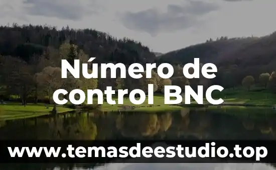 Que es el numero de cosio 6 Número de control BNC