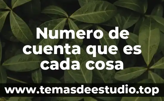 Cuenta básica que es 3 Numero de cuenta que es cada cosa