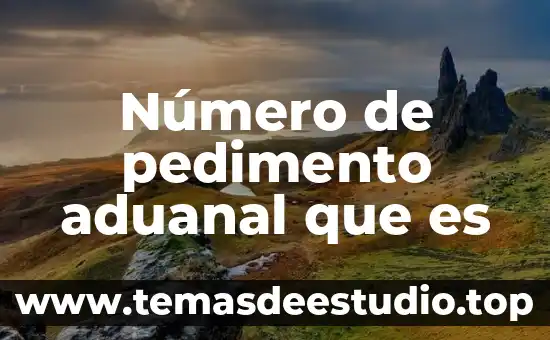 Qué es un número factorable 6 Número de pedimento aduanal que es