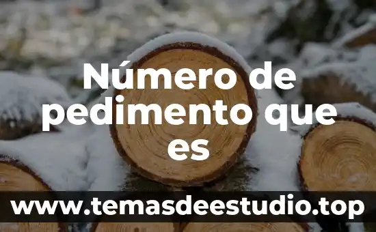 Que es cuidado enfermero autor 6 Número de pedimento que es