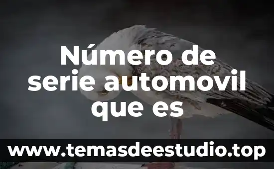 Qué es el número en base de datos 6 Número de serie automovil que es