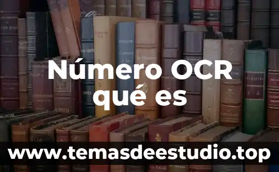 Qué es sistema numérico en informática 3 Número OCR qué es