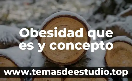 Qué es macrominerales definición 4 Obesidad que es y concepto