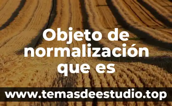 Normalizacion de base de datos que es 8 Objeto de normalización que es