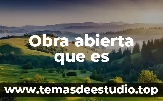 Que es el argumento dentro de una obra teatral 4 Obra abierta que es