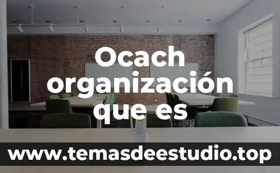 ¿Qué es el capital social de una organización? 6 Ocach organización que es