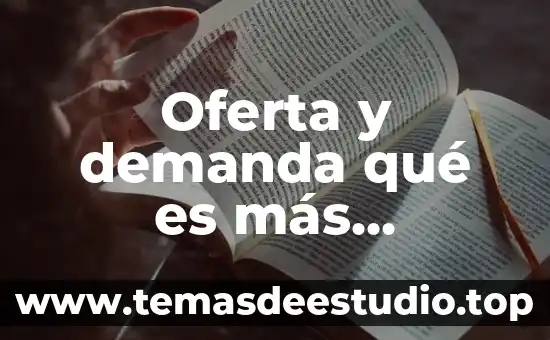 Que es la oferta en un sistema de producción 5 Oferta y demanda qué es más demandado