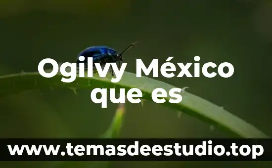 Ogilvy México que es