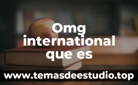 Omg international que es