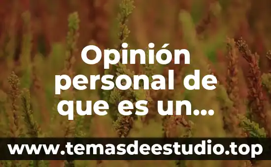 Que es la tecnica de relato de una historia 4 Opinión personal de que es un relato