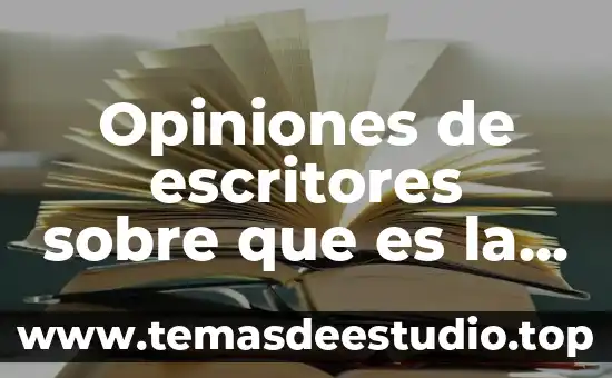 Que es un argumento y los tipos de opiniones 4 Opiniones de escritores sobre que es la literatura